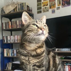 Meet your Posher, Adele